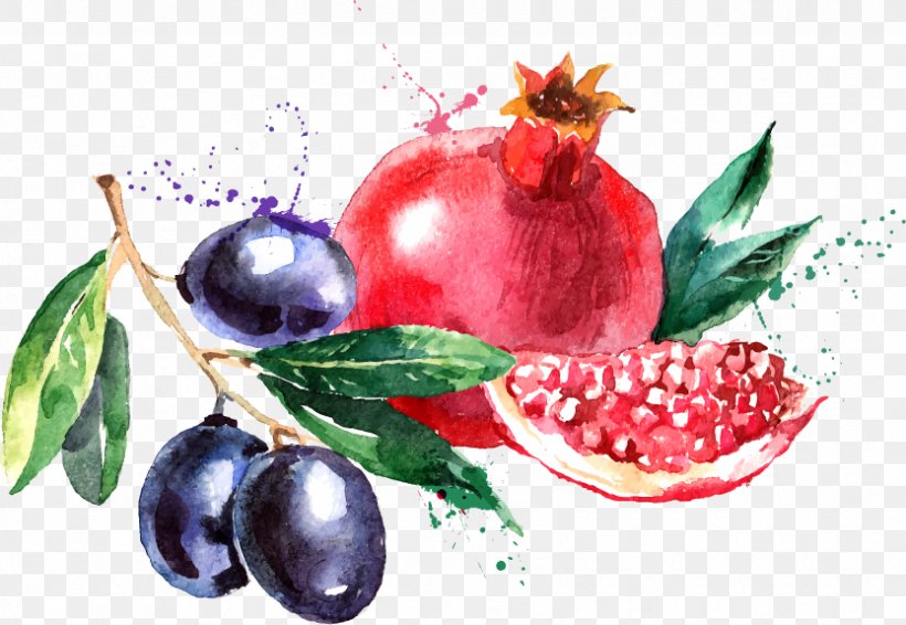 Watercolor Painting Fruit Drawing, PNG, 833x575px, Watercolor Painting, Berry, Canvas, Cranberry, Creative Market Download Free