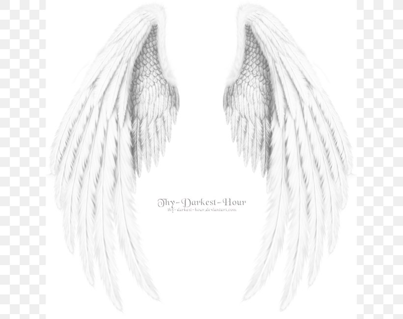 Angel Wing Angel Wing Black And White Image, PNG, 633x650px, Wing, Angel, Angel Wing, Bird, Bird Flight Download Free