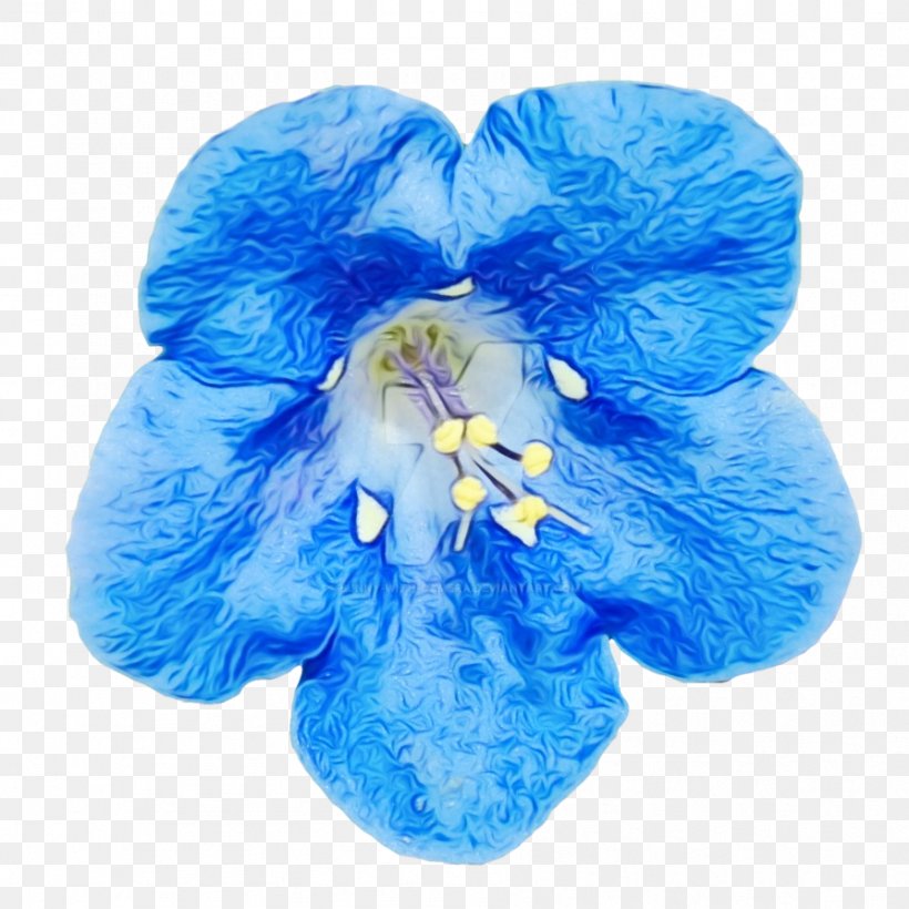 Blue Flower Petal Cobalt Blue Plant, PNG, 894x894px, Watercolor, Blue, Cobalt Blue, Delphinium, Electric Blue Download Free