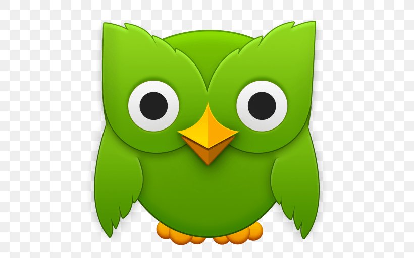 Duolingo Foreign Language Learning Language Acquisition, PNG, 512x512px, Duolingo, Beak, Bird, Bird Of Prey, English Download Free