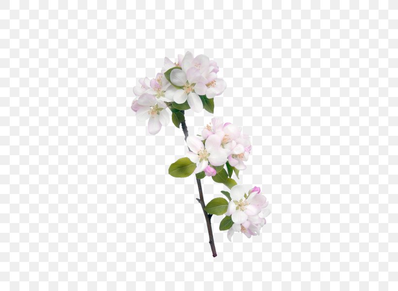 Flower Icon, PNG, 424x600px, Flower, Artificial Flower, Blog, Blossom, Branch Download Free