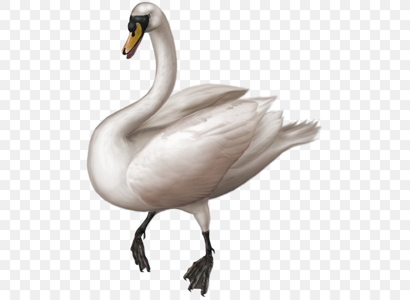 Goose Duck Mute Swan Cygnini Clip Art, PNG, 475x600px, Goose, Anseriformes, Beak, Bird, Cygnini Download Free