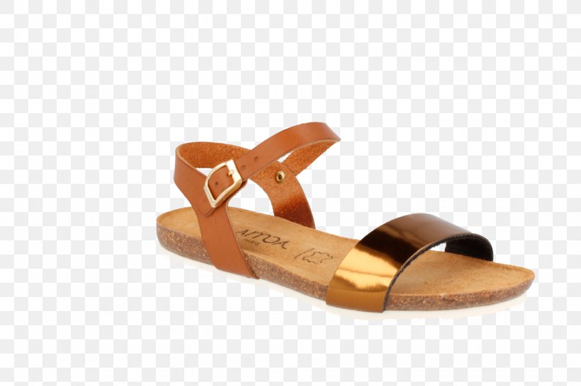 Slide Sandal Shoe, PNG, 1536x1024px, Slide, Footwear, Outdoor Shoe, Sandal, Shoe Download Free