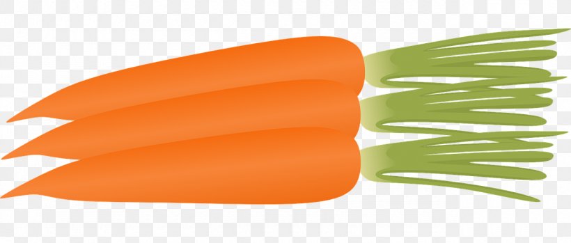 Carrot Cake Carrot Salad Muffin Clip Art, PNG, 1280x545px, Carrot Cake, Arracacia Xanthorrhiza, Blog, Carrot, Carrot Salad Download Free