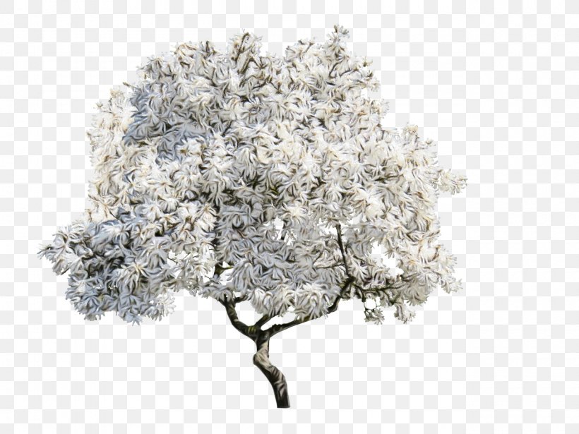 Cherry Blossom Tree, PNG, 1280x960px, Stau150 Minvuncnr Ad, Blossom, Branch, Branching, Cherries Download Free