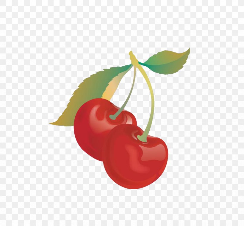 Cherry Cake Frutti Di Bosco Fruit, PNG, 859x798px, Cherry Cake, Apple, Cherry, Cherry Blossom, Flowering Plant Download Free