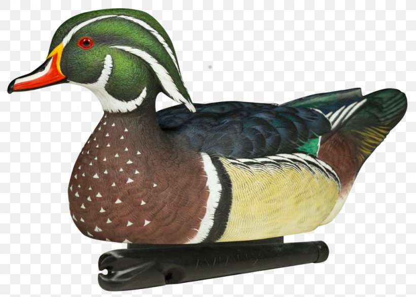 Duck Decoy Mallard Goose, PNG, 1024x731px, Duck, American Black Duck, Beak, Bird, Bluewinged Teal Download Free