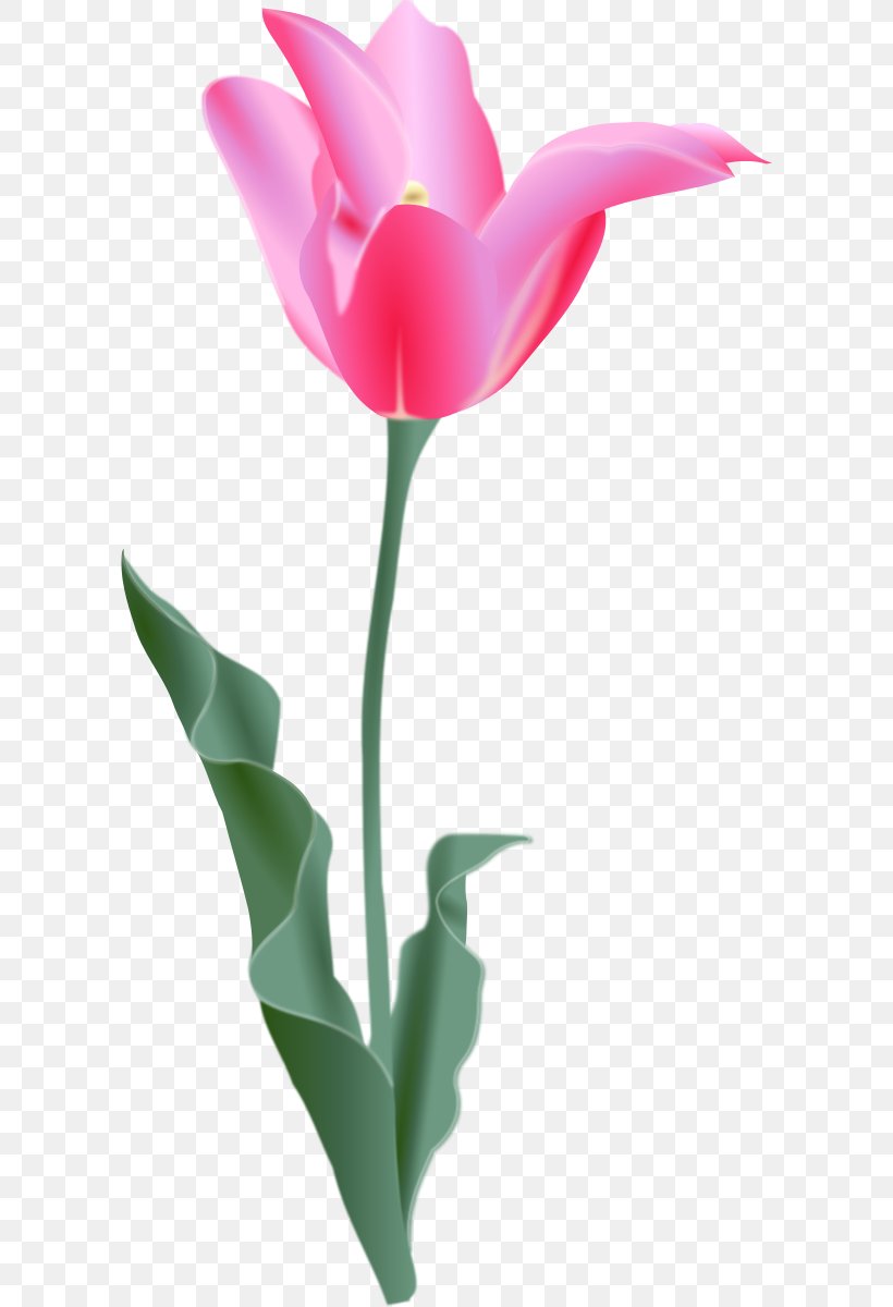 Tulip Free Content Flower Clip Art, PNG, 598x1200px, Tulip, Bud, Cut Flowers, Drawing, Flower Download Free