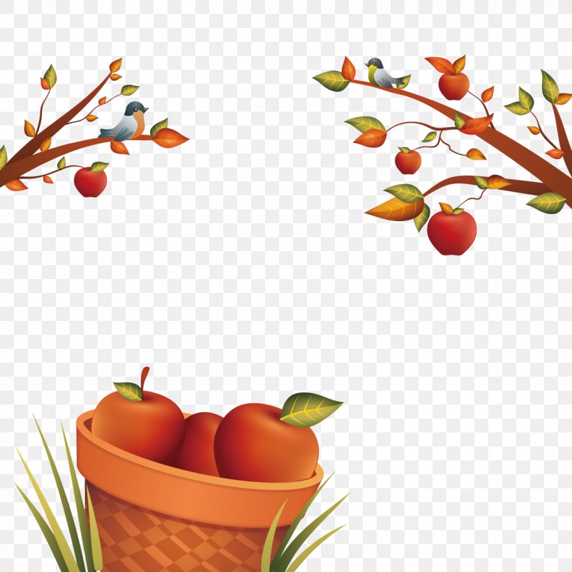 Apple, PNG, 1200x1200px, Apple, Autumn, Branch, Crop Yield, Diet Food Download Free
