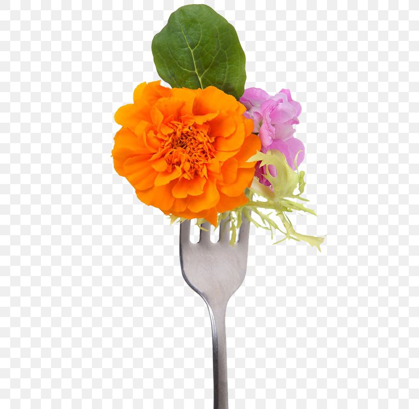 Edible Flower Shoot Salad, PNG, 800x800px, Flower, Artificial Flower, Avocado, Cucumber, Cut Flowers Download Free