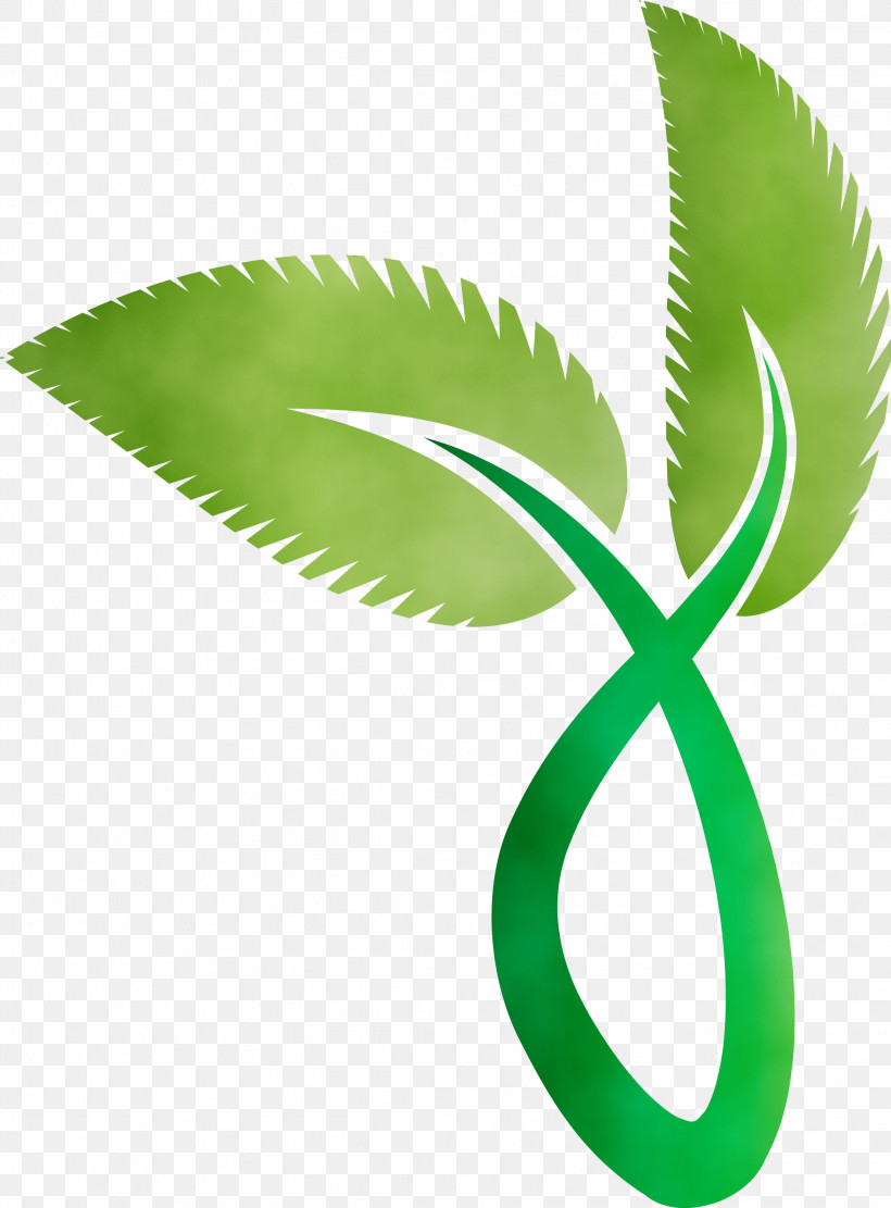 Leaf Plant Stem Green Meter Plants, PNG, 2213x3000px, Ecology, Biology, Environmental Protection, Green, Leaf Download Free