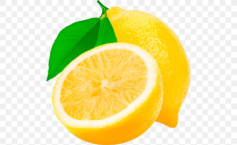 Lemon Meringue Pie Iced Tea Green Tea, PNG, 500x504px, Lemon, Bitter Orange, Citric Acid, Citron, Citrus Download Free