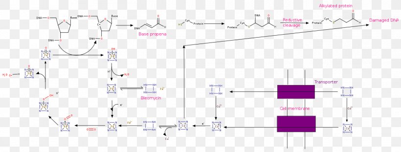 Line Angle, PNG, 1446x549px, Diagram, Area, Design M, Text Download Free