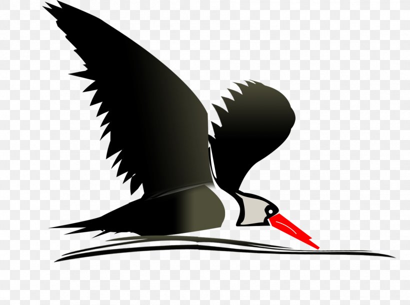Uganda Birdwatching Safari Clip Art, PNG, 1776x1322px, Uganda, American Birding Association, Beak, Bird, Birdwatching Download Free