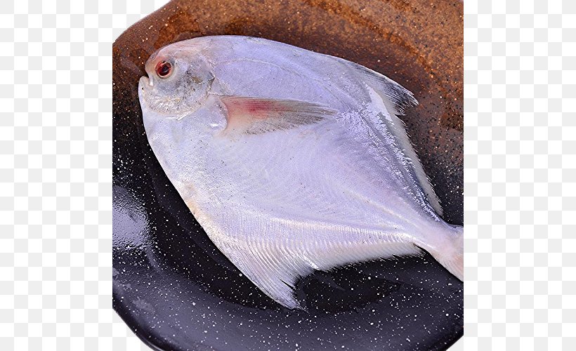 Fish As Food Seafood Escolar, PNG, 500x500px, Seafood, Barramundi, Dish, Escolar, Fish Download Free