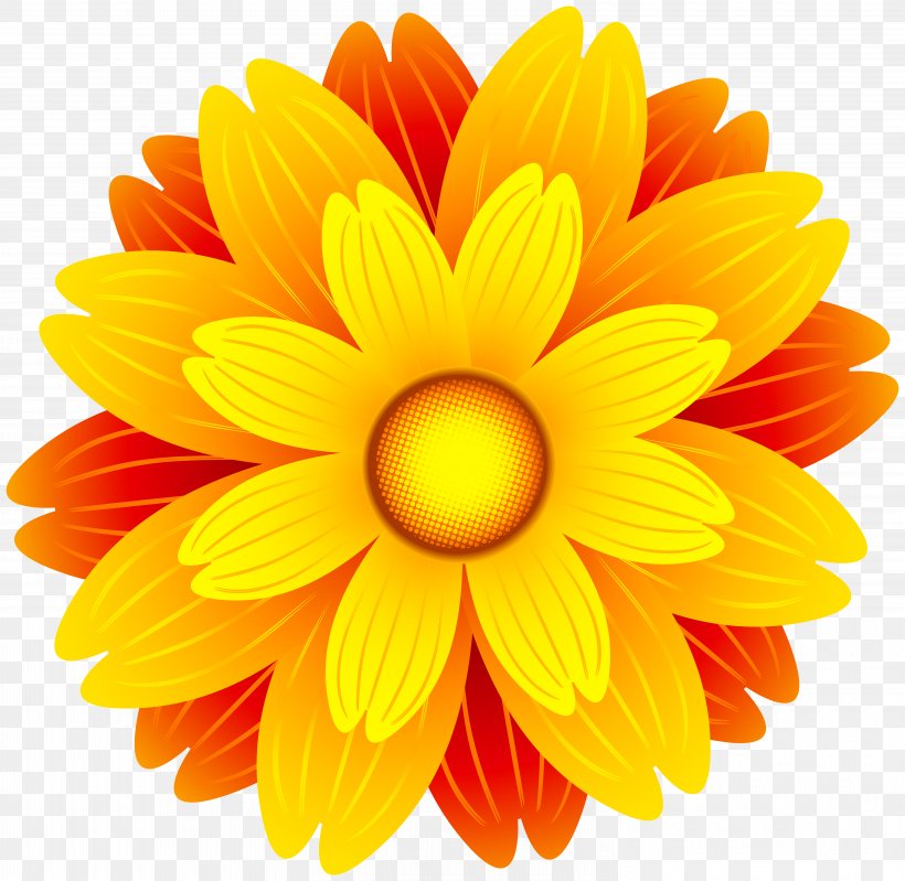 Flower Orange Clip Art, PNG, 6000x5849px, Flower, Chrysanths, Color, Cut Flowers, Dahlia Download Free