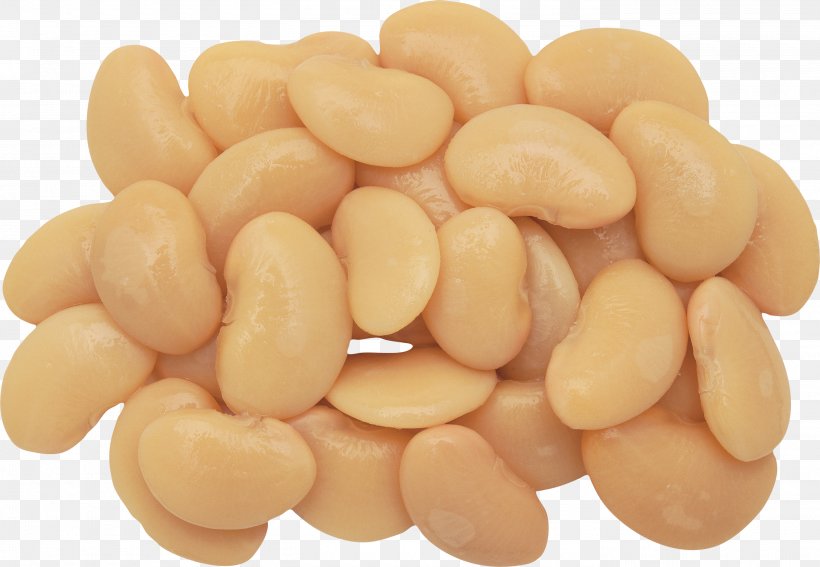 Navy Bean Common Bean Recipe Food, PNG, 2800x1939px, Navy Bean, Bean, Carbohydrate, Chef, Commodity Download Free