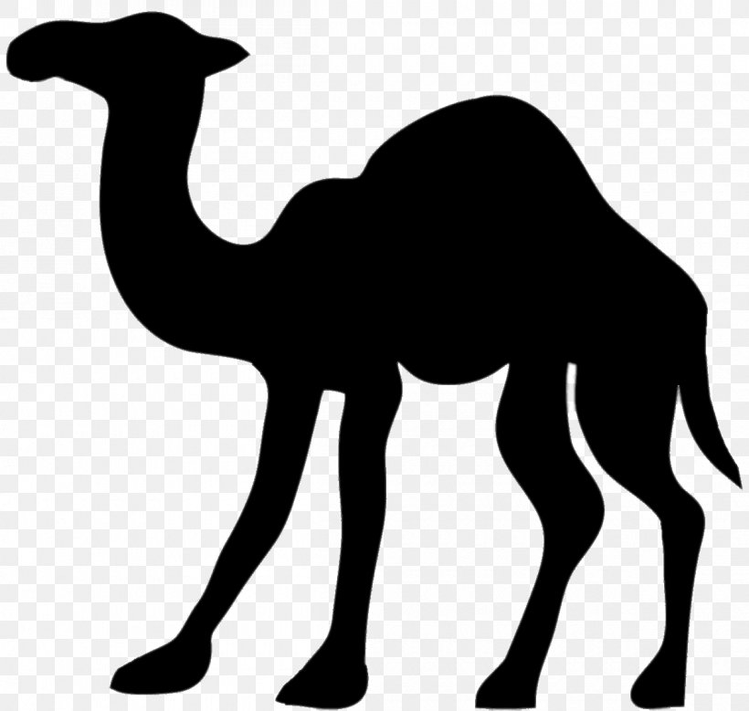 Camel Silhouette Clip Art, PNG, 1200x1141px, Camel, Arabian Camel, Art, Black And White, Camel Like Mammal Download Free