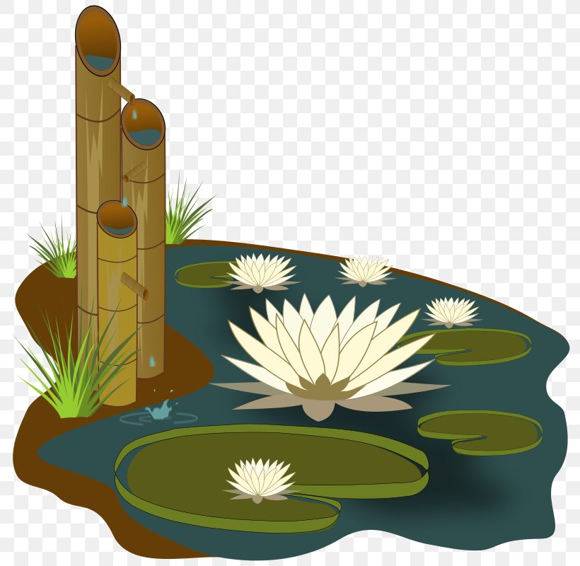 Free Content Water Lily Pond Clip Art, PNG, 800x800px, Free Content, Cactus, Drawing, Flora, Flower Download Free