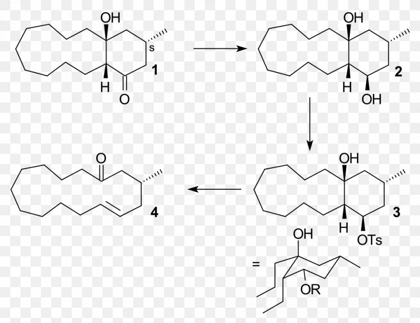 Grob Fragmentation Elimination Reaction Nucleofuge Chemistry, PNG, 999x768px, Grob Fragmentation, Area, Atom, Auto Part, Black And White Download Free