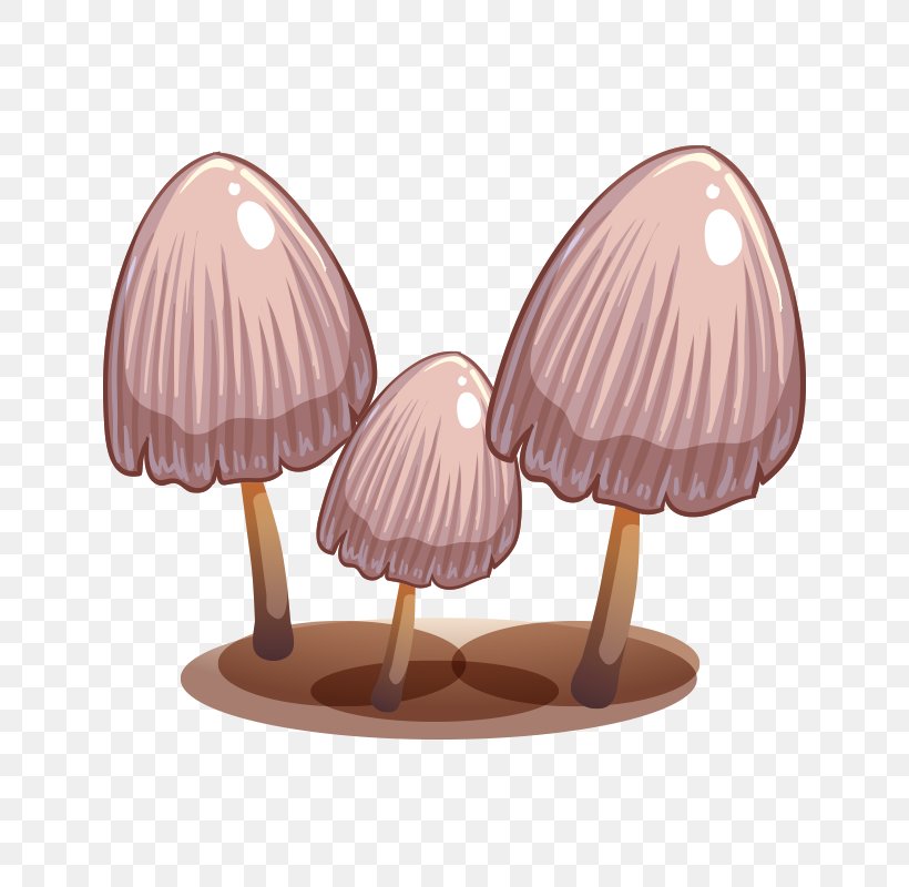 Edible Mushroom Stock Illustration Illustration, PNG, 800x800px, Edible Mushroom, Agaricus Campestris, Cartoon, Fungus, Macrolepiota Procera Download Free