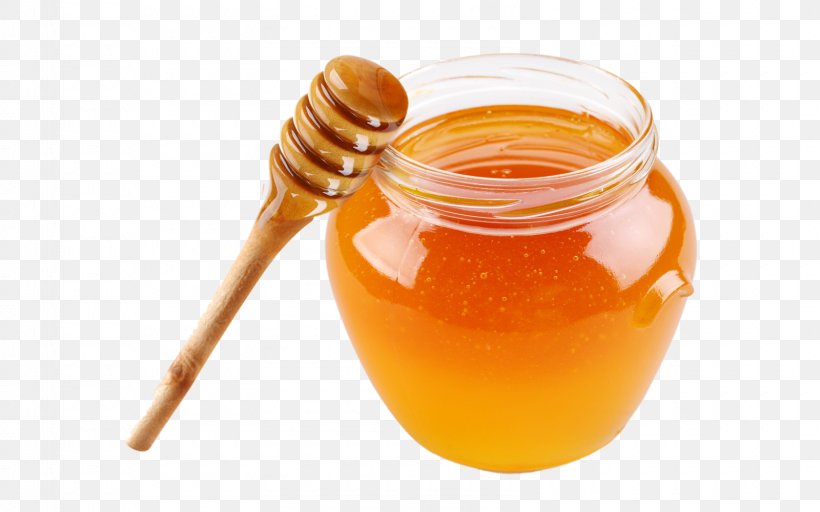 Honey Bee Honey Bee Raw Foodism, PNG, 1600x1000px, Honey, Bee, Cashew, Dried Fruit, Flavor Download Free