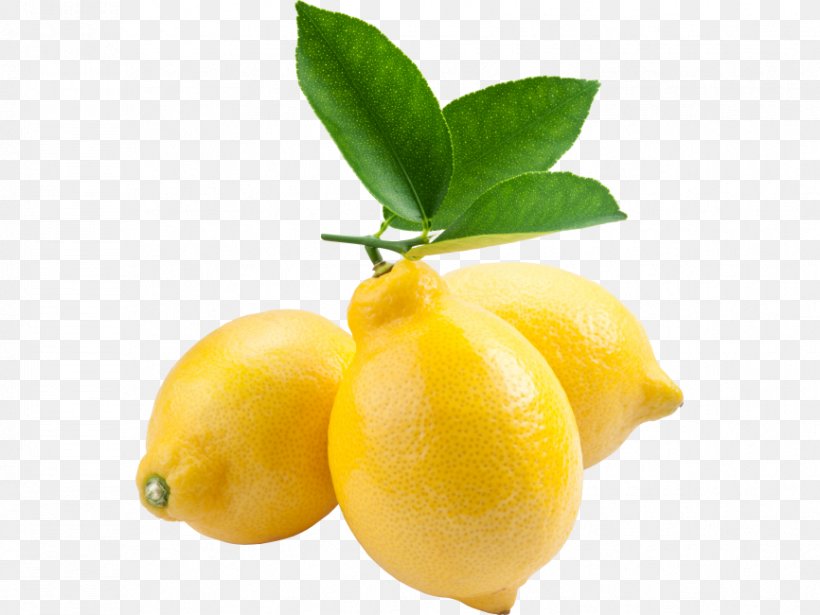 Lemon Flower, PNG, 866x650px, Lemon, Citrus, Flower, Food, Fruit Download Free