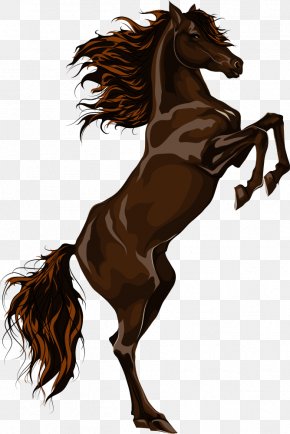 Standing Horse Images, Standing Horse Transparent PNG, Free download