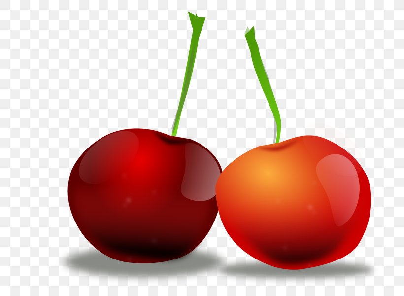 Fruit Clip Art, PNG, 800x600px, Fruit, Apple, Cherry, Diet Food, Drawing Download Free