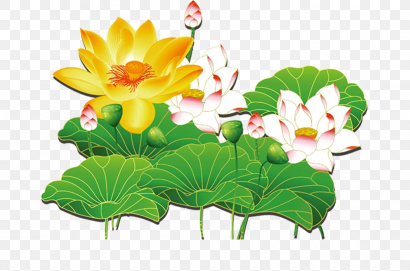 Nelumbo Nucifera Nelumbo Lutea Lotus Effect, PNG, 1300x860px, Nelumbo Nucifera, Aquatic Plant, Cut Flowers, Flora, Floral Design Download Free