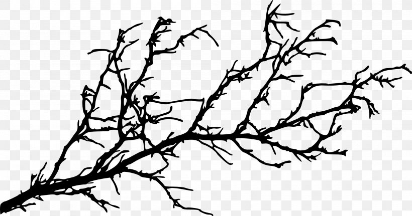 Oak Tree Silhouette, PNG, 2000x1053px, Branch, Bark, Blackandwhite, Bonsai, Coloring Book Download Free