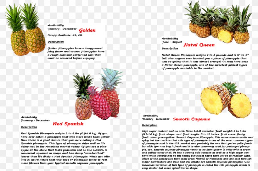 Pineapple Vegetarian Cuisine Strawberry Food NASDAQ:WSTG, PNG, 1280x853px, Pineapple, Ananas, Bromeliaceae, Cocoa Bean, Diet Download Free