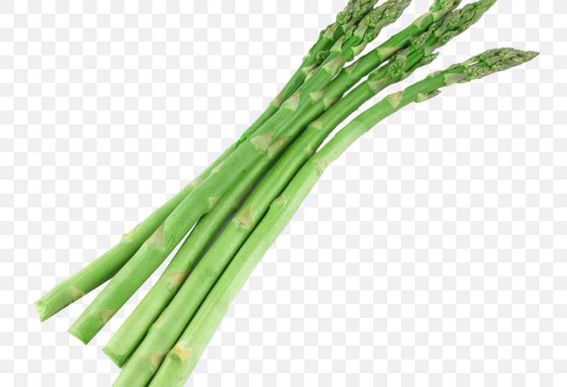 Vegetarian Cuisine Clip Art Asparagus Vegetable, PNG, 800x560px, Vegetarian Cuisine, Asparagus, Bunch Of Asparagus, Commodity, Fennel Download Free