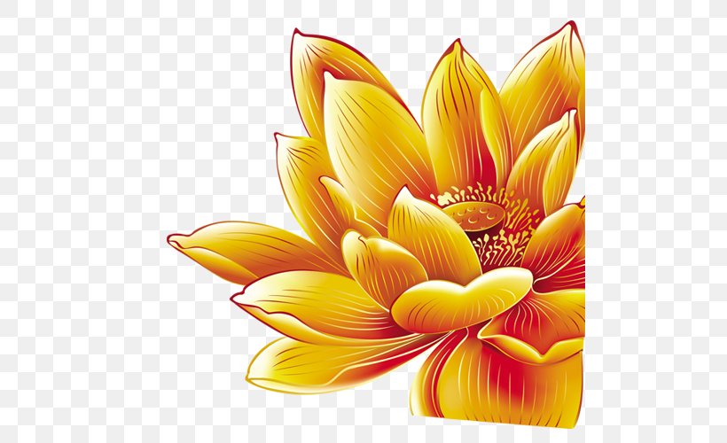 China Graphic Design, PNG, 500x500px, China, Chrysanths, Cut Flowers, Dahlia, Daisy Family Download Free