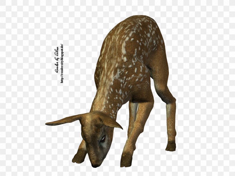 Goat Rehe Province Poser Rendering Character Structure, PNG, 1200x900px, Goat, Biscuits, Character Structure, Fauna, Goat Antelope Download Free