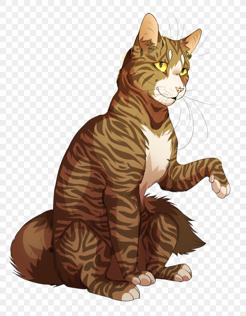 Cat Super Edition Series Leafpool Drawing Kitten, PNG, 1200x1544px, Cat, American Wirehair, California Spangled, Carnivoran, Cat Like Mammal Download Free