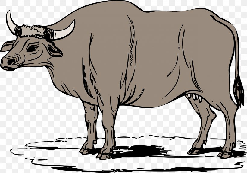 Cattle Water Buffalo Ox Clip Art, PNG, 1280x895px, Cattle, Black And White, Bull, Cartoon, Cattle Like Mammal Download Free