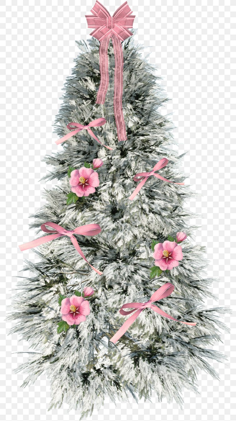 Christmas Tree Spruce Christmas Ornament Fir Pine, PNG, 800x1462px, Christmas Tree, Branch, Branching, Christmas, Christmas Decoration Download Free