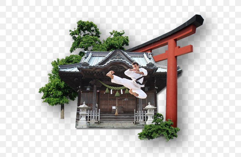 Karate Warsaw Flying Kick Sports Association, PNG, 739x534px, Karate, Bugojno, Chinese Architecture, Facade, Flying Kick Download Free