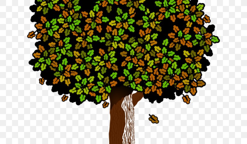 Oak Branch Leaf Tree Wood, PNG, 640x480px, Oak, Birch, Bonsai, Branch, Deciduous Download Free