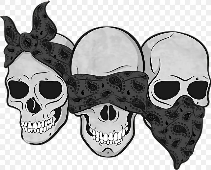 Three Wise Monkeys Drawing Calavera Skull, PNG, 830x668px, Three Wise Monkeys, Art, Black And White, Bone, Calavera Download Free