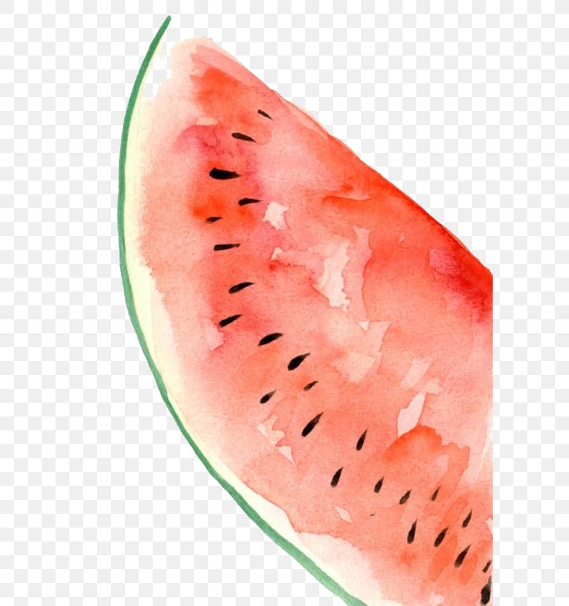 Watermelon Watercolor Painting, PNG, 600x873px, Watermelon, Application Software, Citrullus, Cucumber Gourd And Melon Family, Drawing Download Free