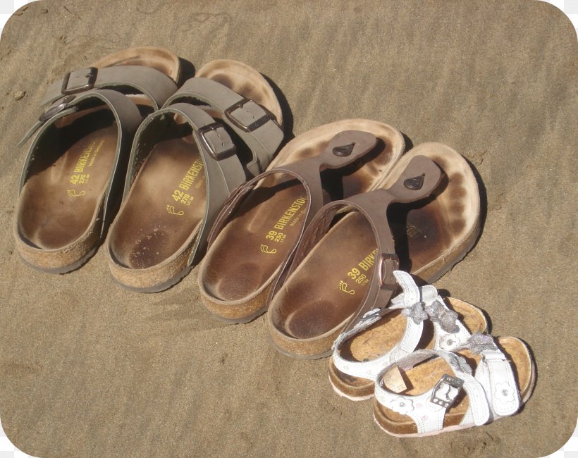 Slipper Flip-flops Shoe, PNG, 2142x1700px, Slipper, Flip Flops, Flipflops, Footwear, Outdoor Shoe Download Free