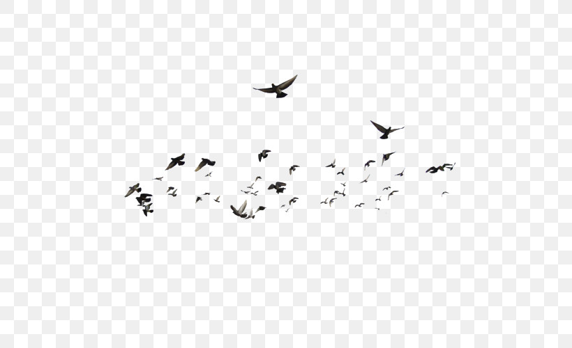Birds Bird Migration Flock Earth Beak, PNG, 500x500px, Birds, Animal Migration, Beak, Bird Migration, Black White M Download Free