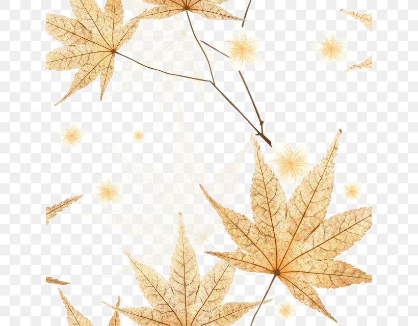 Leaf Autumn, PNG, 640x640px, Leaf, Art, Autumn, Autumn Leaf Color, Comics Download Free