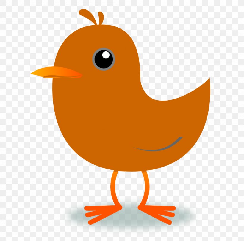 Bird Blue Color Clip Art, PNG, 999x990px, Bird, Baby Blue, Beak, Blue, Chicken Download Free