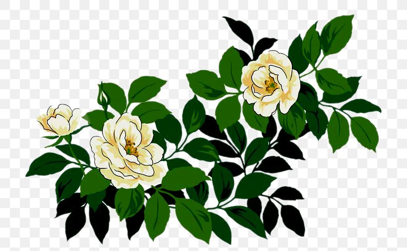 Centifolia Roses Cut Flowers Garden Roses Floral Design, PNG, 750x507px, 2017, Centifolia Roses, Branch, Champagne, Christmas Download Free