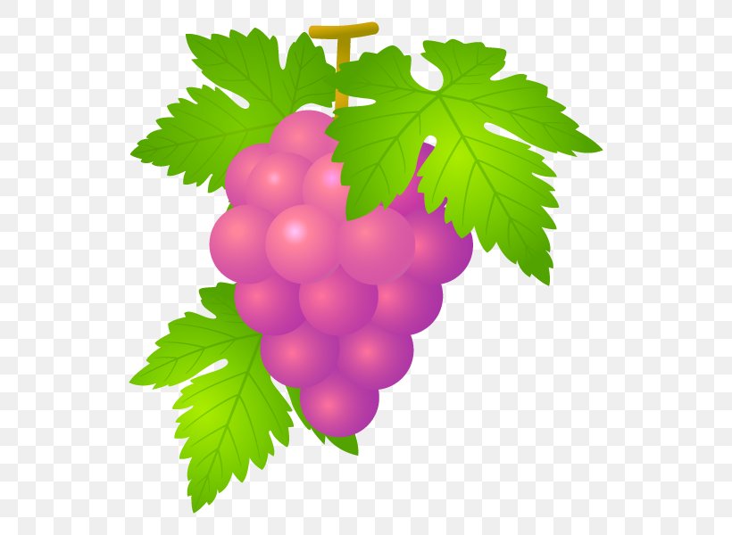 Grape Koshu Osaka City Air Terminal Wine Fruit, PNG, 600x600px, Grape, Flowering Plant, Food, Fruit, Grape Leaves Download Free