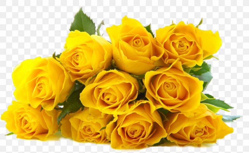 Rose Flower Bouquet Yellow, PNG, 1280x787px, Rose, Austrian Briar, Color, Cut Flowers, Floral Design Download Free