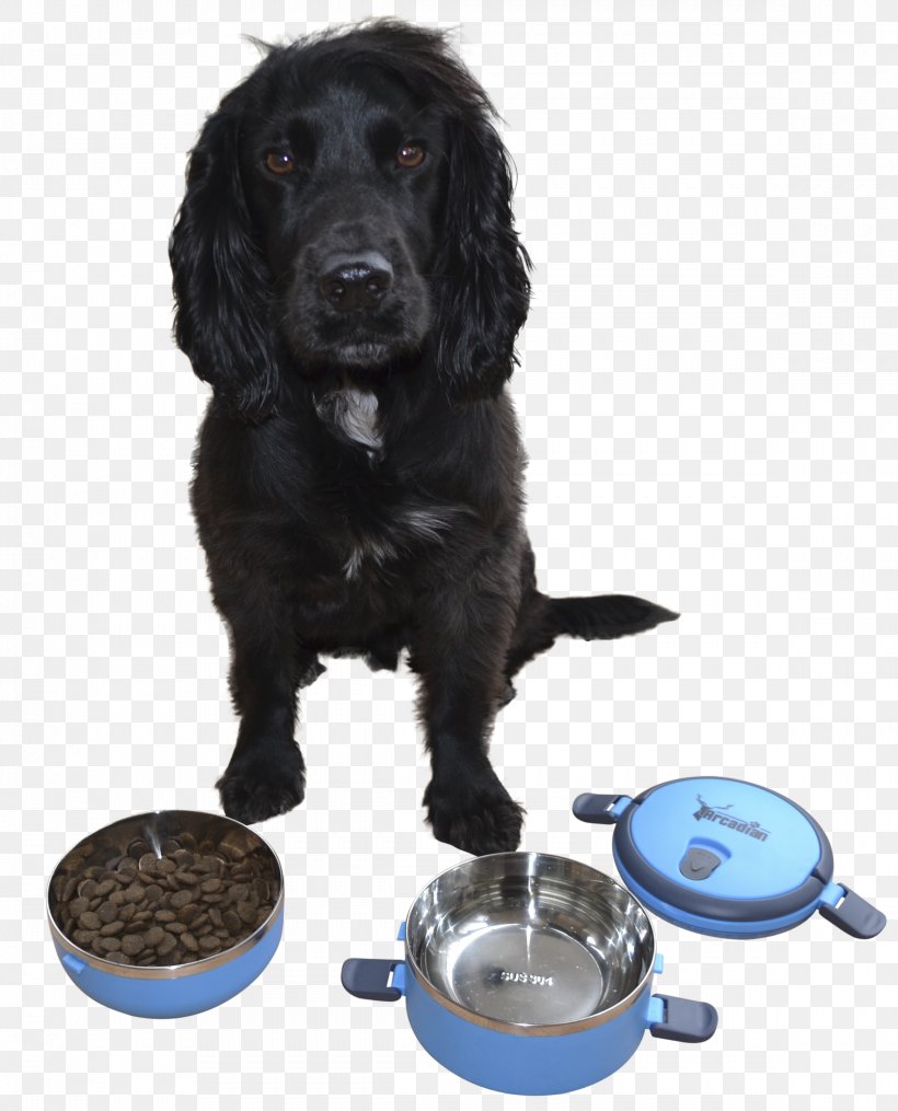 Boykin Spaniel Cat Food Bowl Bucket, PNG, 2337x2893px, Boykin Spaniel, Bowl, Breed, Bucket, Campsite Download Free